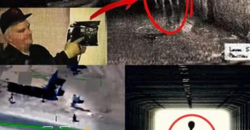 They INTENTIONALLY Hid This Truth! The 