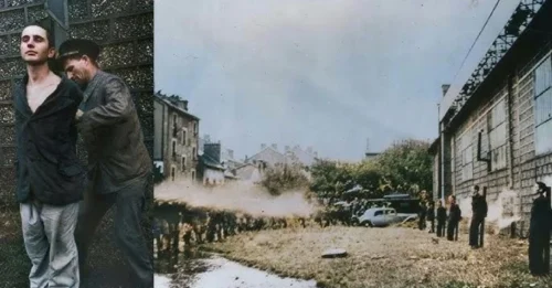 4,000 PEOPLE WITNESS the DISTURBING PUBLIC EXECUTION of 6 Nazi Collaborators by the French Resistance After Liberation: What Were Their Crimes That Made Them So Notorious? 7