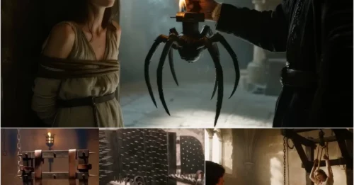 The 