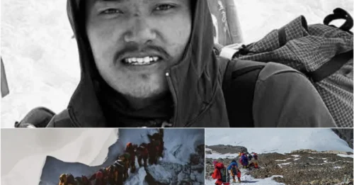 THE FINAL MOMENT OF A SON OF THE HIMALAYAS: The Tragic Story of Rima Rinje Sherpa – Who Conquered the Roof of the World Four Times, Only to Have His Journey Halted at Age 27