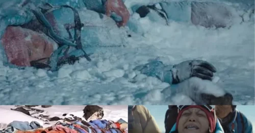 THE BURIED TRUTH ON EVEREST: The “Twice Abandoned” Journey of the Seven Summits Queen Yasuko Namba – The “HORRIFYING” Final Minutes the World Rarely Knew 7