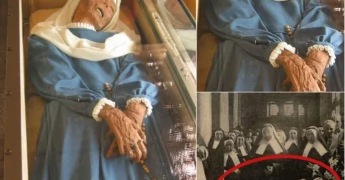 “THE IMMORTAL CURSE” FROM THE PAST: Haunted Mummies with Hair That NEVER Falls Out – The SHOCKING Preservation Secret That Was BURIED in History!