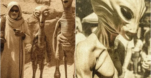 SHOCKING Report of a Strange Flying Object and Bizarre Creatures in Roswell in 1890 - Archived, Then 