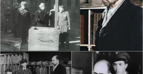 FROM HAUGHTY COMMANDANT TO CRINGING REANT BEFORE THE BARREL: Maximilian Grabner – The Nazi Official Who Knelt, Kissed Boots, and Pleaded for the Life He Had Denied Millions.