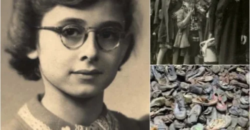 THE TRAGIC FATE OF THE 13-YEAR-OLD GIRL AT AUSCHWITZ: The Heartbreaking Death of Irene Stern – The French Girl With a Timeless Gaze in Her Final Moments on Convoy 76 to Auschwitz