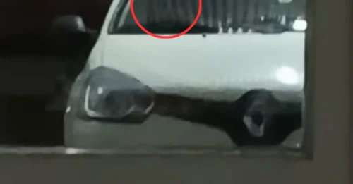 Not a Special Effect! The CHILLING TRUTH Behind the 