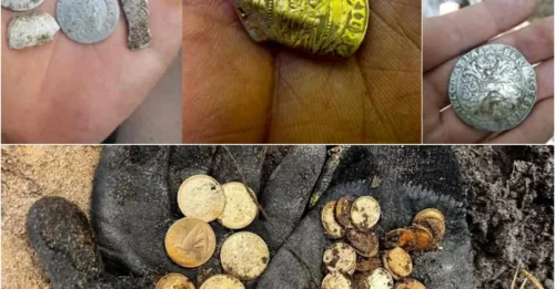 MYSTERIOUS MONEY CHEST in the Deep Mountains: Revealing the 