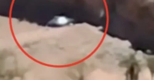 Chilean Family DISCOVERS Mysterious Metallic Disc on Mountain — What is This 