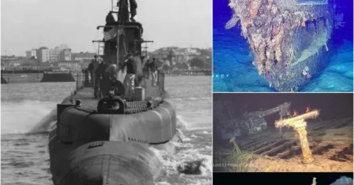 79 FORGOTTEN WARRIORS: The Final Voyage of the 
