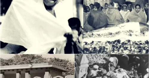 The Assassin of India's 