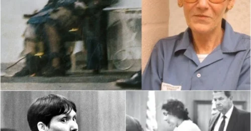 The INITIAL “BLACK WIDOW” PUT TO DEATH via ELECTRIC CHAIR in Florida: The “TERRIFYING” Offenses of the Most Infamous Woman Serial Murderer of the 20th Century and the Last 30 Seconds of a Wicked Existence hm