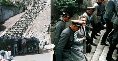 How SS Soldiers Executed Prisoners with the “STAIRCASE OF DEATH”: The Disturbing Mechanism of How the 186 STONE STEPS at Mauthausen Became One of the HOLOCAUST’s Most NOTORIOUS Execution Methods 7