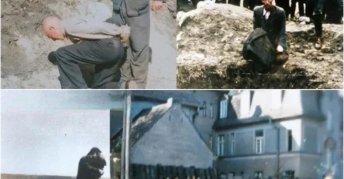 SS Soldiers Carried Out Executions via “NECK SHOT”: The Brutal Mechanism of the Genickschuss – The WWII Killing Technique That Claimed Hundreds of Thousands of Innocent Lives hm