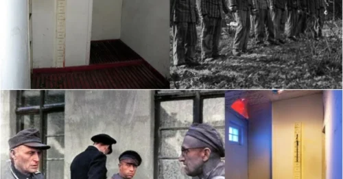 THE NECK EXECUTION CAMP: The SILENTLY BRUTAL Execution Method of Nazi Germany – It Took the Lives of 8,000 Soviet POWs in Just 2 Years