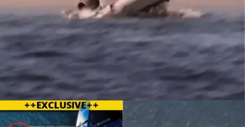 FINAL HOPE: Last-ditch £50m search for missing flight MH370 to resume TODAY 11 years on from world’s most mysterious disappearance