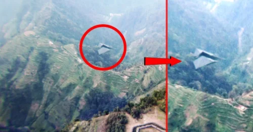 WEIRD BEHAVIOR of UFOs in Remote Forests: They're Not Just Flying, They're SCANNING EVERY INCH. The Reason Behind It Is Even More Terrifying Than You Think!