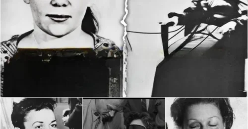 Last Moments of the Most Beautiful Criminal “Bloody Babs”: The Tragic Life of Barbara Graham and Her “CHILLING” Final Words Adapted Into a Famous Film hm