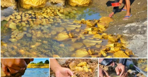 Shocking Discovery - The 2-MILLION-Year-Old Giant Gold Nugget, Worth Millions of Dollars, Is Hidden Where No One Expected!