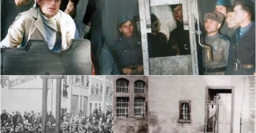 The HORRIFYING Reason the German Guillotine Was Better: The SHOCKING Engineering Behind Germany's Upgraded Guillotine - A Killing Machine SUPERIOR to the French Original