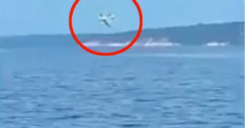 Momento de terror: el avión se hunde en el río y se hace pedazos, dejando al piloto y al pasajero heridos.