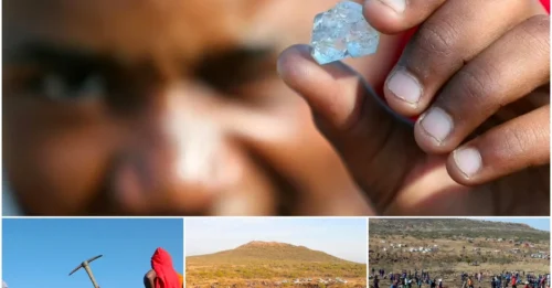 The Truth Behind the Shepherd's SHOCKING Discovery: Over 1,000 People Rush to South Africa, The 