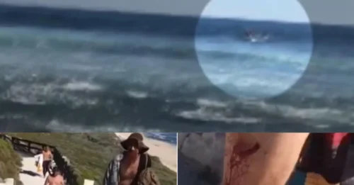 DISTURBING footage has emerged of the moment a lone surfer was attacked - and the bloody aftermath.