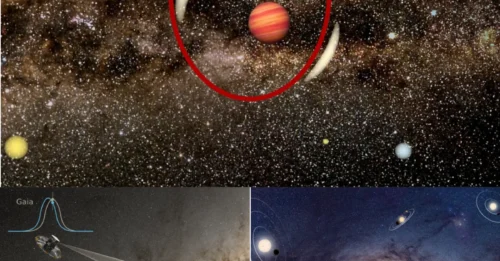 SHOCKING Discovery: An 