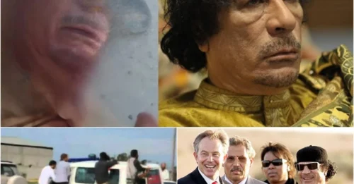 The Most GRUESOME Execution of Libya’s Autocrat: The FINAL Moments of Muammar Gaddafi and His Son – Bodies EXHIBITED to the Public hm