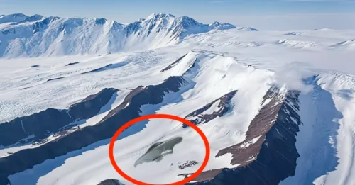 Antarctica Just Revealed an UNTHINKABLE Secret: Council of Experts 