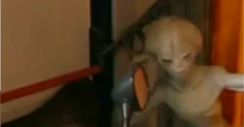 Brazilian students in the classrooms were surprised to see aliens sneaking into their homes and stealing things