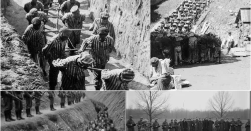 How the SS Executed Prisoners with 