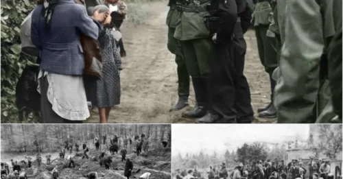 The EXECUTION of the Nazis Who Massacred an ENTIRE HEROIC VILLAGE: The Moment of Atonement for the Crime of Slaughtering and Burning 204 Poles in Michniów