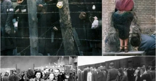 The EXECUTION of the Old Woman of Budapest: Manci Nagy – The CHILLING Untold Mystery of the Elderly Woman PUBLICLY HANGED After World War II for Horrific Crimes
