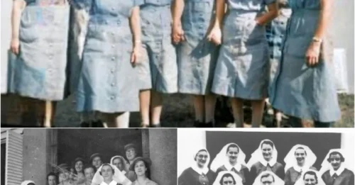 The HORRIFYING Execution of 21 Australian Nurses on Bangka Island: The TRAGIC Final Moments of the Nurses Before the Muzzles of the Japanese Army