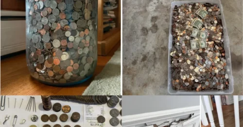 A Lifetime of Saving, the Old Man Suddenly Breaks the Piggy Bank: The 70-Year Treasure That Leaves Family Stunned, Counting Endlessly!