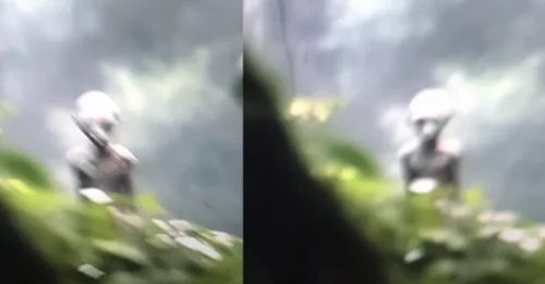 NOT A LEGEND: The Moment an Explorer CAME FACE-TO-FACE with a Living ALIEN Entity in the Dense Forest - THE SECRET REVEALED