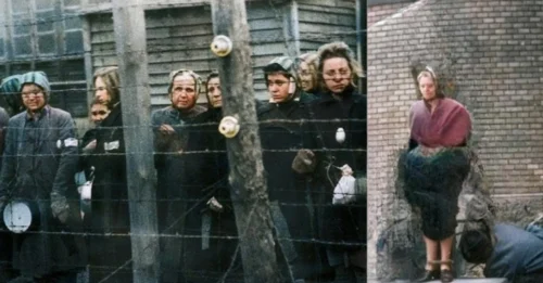 The EXECUTION of the Old Woman of Budapest: Manci Nagy – The CHILLING Untold Mystery of the Elderly Woman PUBLICLY SENTENCED After World War II for Shocking Crimes 7