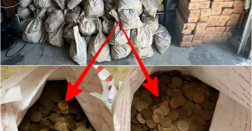 The man HOARDED AN OCEAN OF CASH in his home, intending to create an IMMORTAL FORTUNE for his descendants. Right then, the BANK appeared and EXPOSED THE SHOCKING TRUTH.