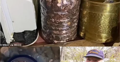 The Secret in the 5-Gallon Jug: Minnesota Couple Saves Tens of Thousands of Pennies for a Decade, Only to Hit a Startling Bank 