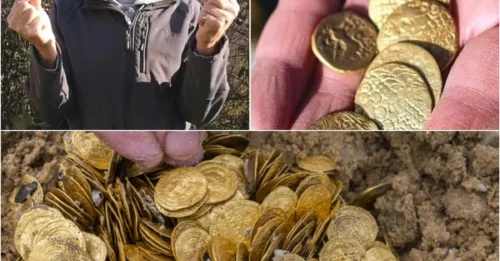 Treasure Hunter 