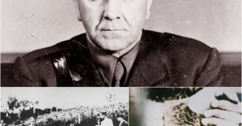 How Prisoners Were Executed With The “Ustase Slicer”: MORE FEARED THAN THE SS, Did Croatia’s Ustaše Create WWII’s Most Barbaric Execution Weapon? hm