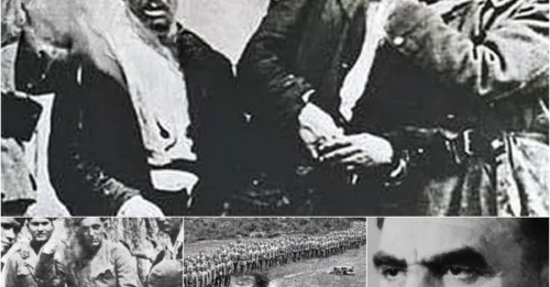 The HORRIFYING Reign of the Ustaše – MORE EXTREME THAN NAZI GERMANY: The Ustaše's Crimes in Croatia That Shocked the World – The Balkan Butchers