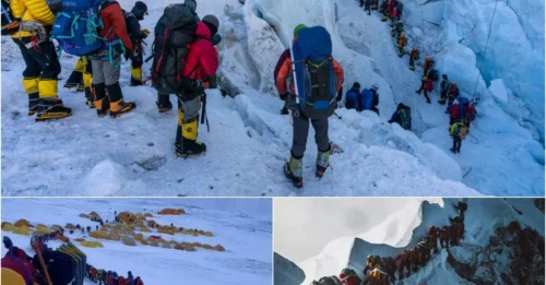 When the Mountain Became a Morgue: The Fatal Consequences of Everest's 