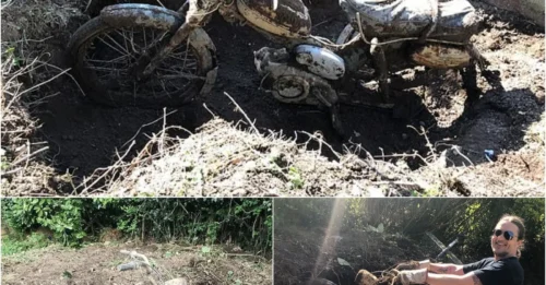 While digging in his garden during the lockdown, the man was stunned to discover a 'treasure': a 60-year-old classic motorbike buried under the flowerbed