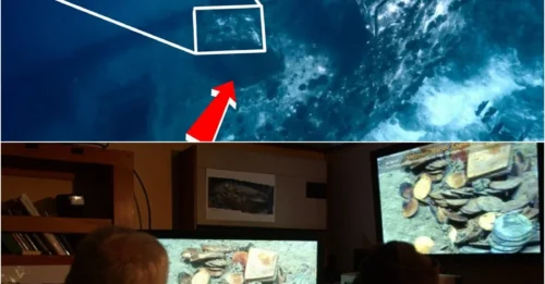 Unlocking the Shipwreck Treasure: 300-Year-Old Gold Coins Reveal 