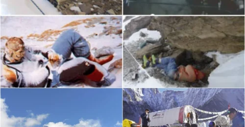 Chilling and Tragic: Human Corpses as 