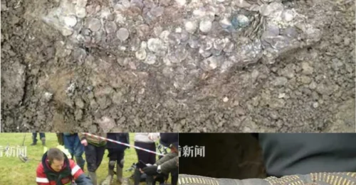 Stunned by What He Just Dug Up: Man Accidentally Becomes a Billionaire Overnight Thanks to 1,000-Year-Old Treasure!