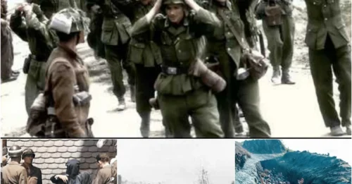 The EXECUTION of 2,000 Stripped-Naked Nazis: The CHILLING End of the 7th SS Mountain Division Paying for Their Crime of Killing 3,000 Croats