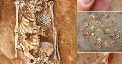 MYSTERY UNRAVELED: Russian Farmer Digs Up 2,000-Year-Old 
