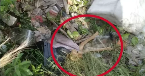 Sudden Stop at a Strange Object in the Trcanh Can, Woman Is 
